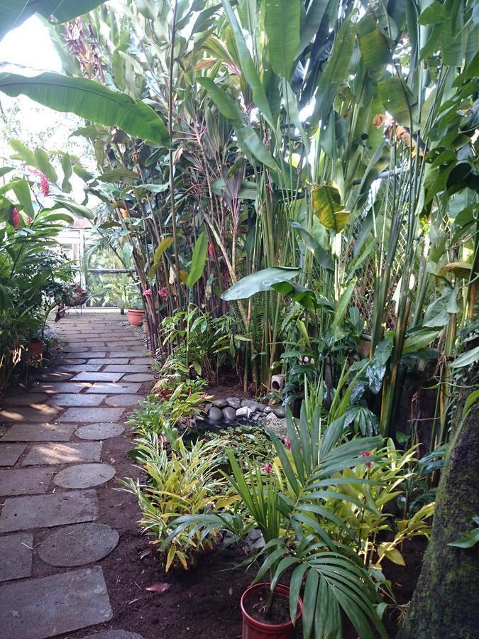 Tortuguero Adventures Guesthouse Ngoại thất bức ảnh